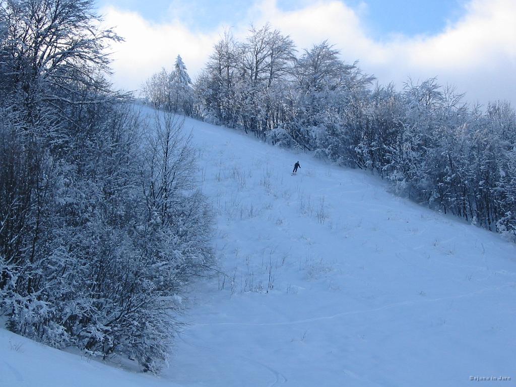 Slika_11.jpg - Povsem levo, po najbolj ozkem delu, se je spuščal turni, ki sem ga srečal na mojem spustu. Imel pa je Voelkl Gotama 190 in Marker Duke. In seveda pse. Tudi  on je bil mnenja, da je bil današnji teren čisti užitek in z nasmeškom sva zapustila Ulovko!