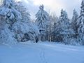 Slika_04