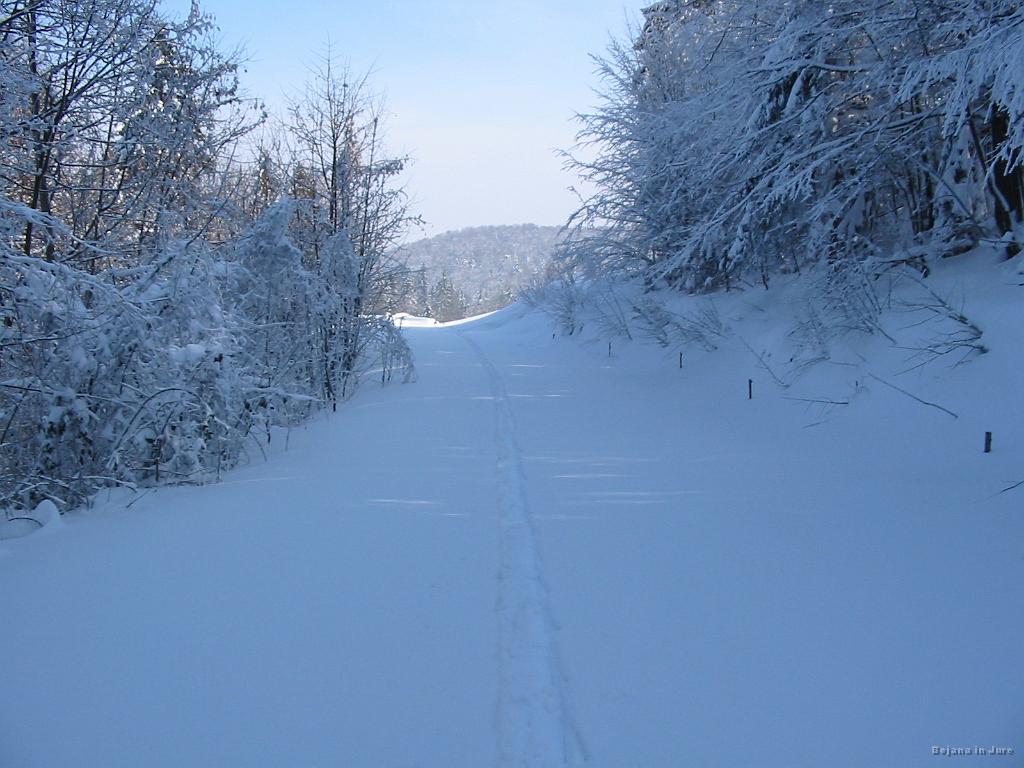 Slika_04.jpg - Preostali del druščine se je odločil za klanec, jaz pa raje bolj položno naokrog.