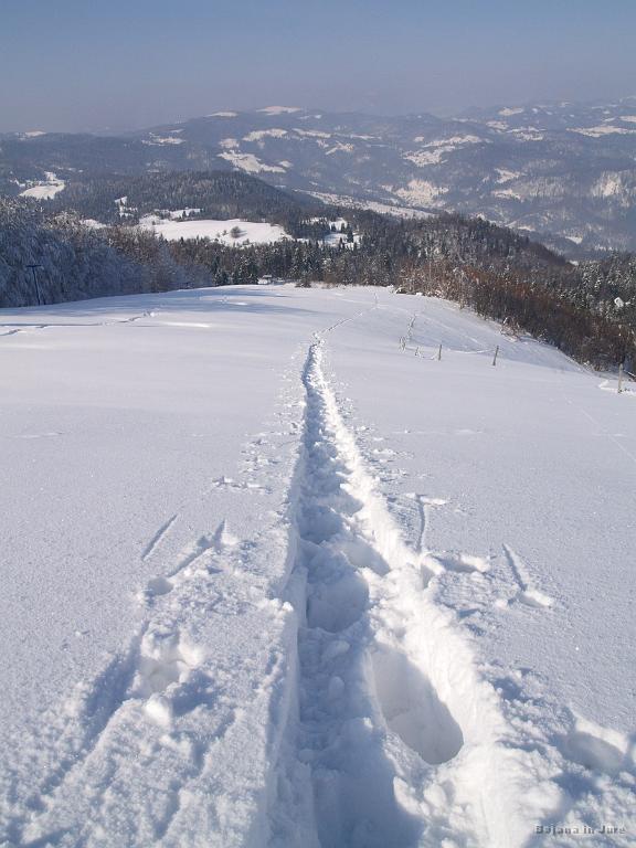 Slika_14.jpg - Slika by Miha Vrhovec. Pasja sled in dvoje gojzarjev.