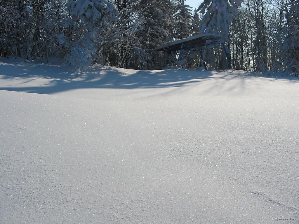 Slika_49.jpg - Ja itak, da grem povsem na celo.