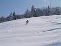Slika_29