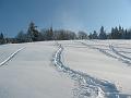 Slika_47