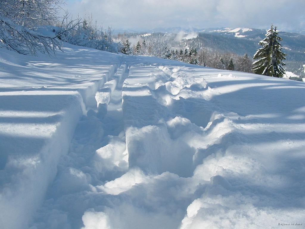 Slika_04.jpg - Dve frišni gazi.
