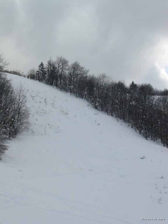 Slika_13.jpg - Se bolj slabo vidi sled drugega spusta. Preostala dva spusta sta bila bolj desno.