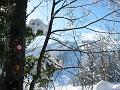 Slika_01
