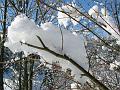 Slika_02