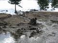 Slika_11