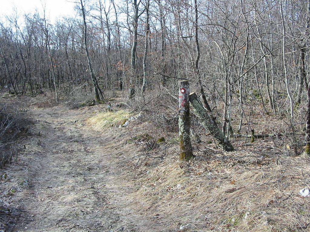 Slike_06.jpg - ...edino upava, da ne bodo nekaterih še malce požagali. Drugače pa je ta pot izredno lahka in povsem primerna za kolesarjenje, čeprav naj bi bilo prepovedano.