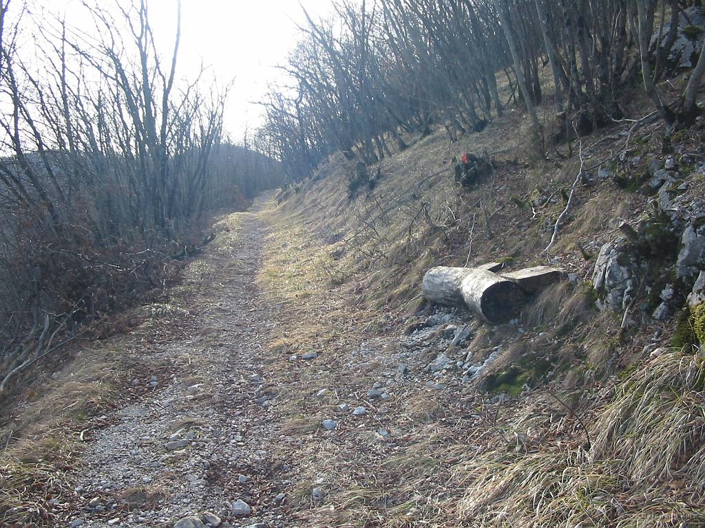 Slike_07.jpg - Klopca ob poti pod Hrpeljskim vrhom.