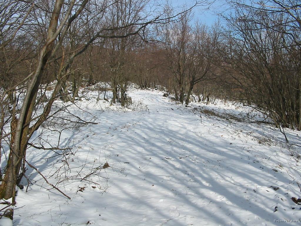 Slike_17.jpg - Snega je bilo ravno toliko, da je nekje malce drselo. Sicer pa izredno mehek, pravi puhec.