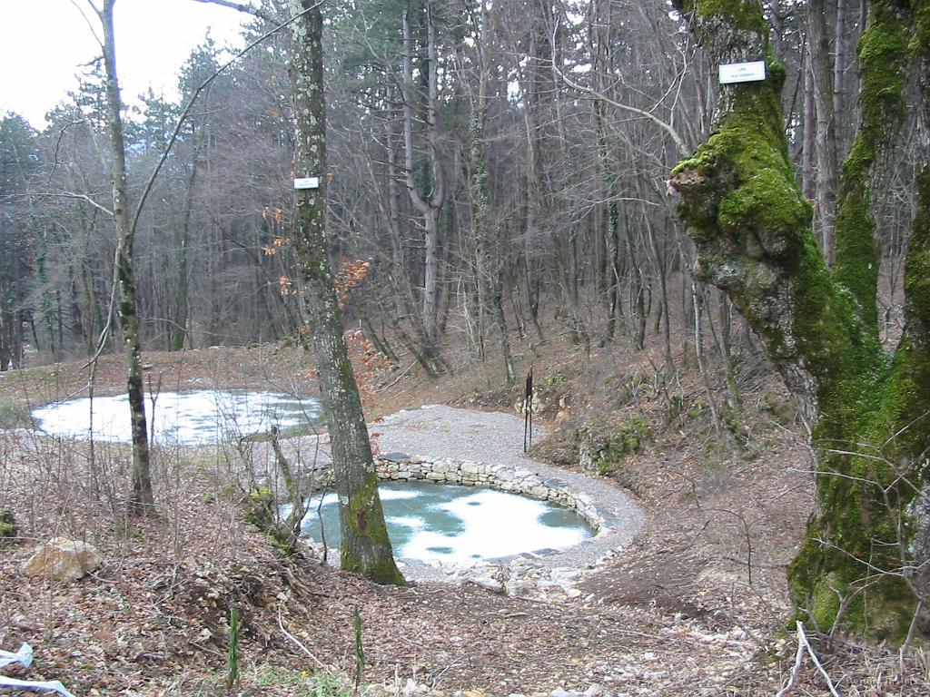 Slike_44.jpg - Vsako drevo je označeno...