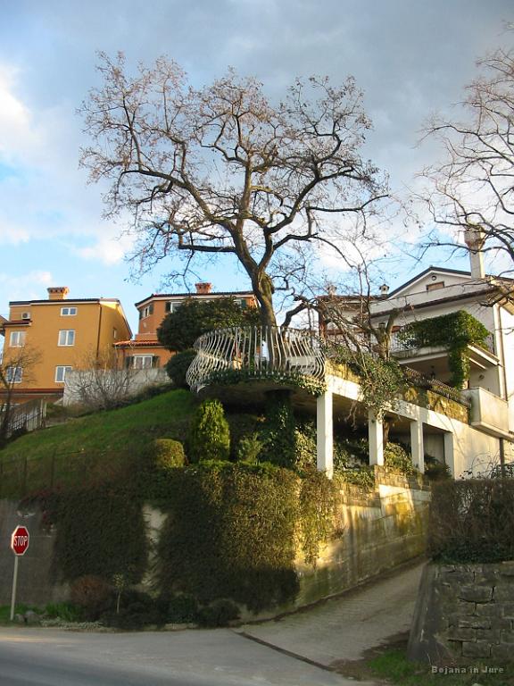 Slike_52.jpg - Resnično lepo urejeno, pa še drevesom so prizanesli in jih umestili v teraso.