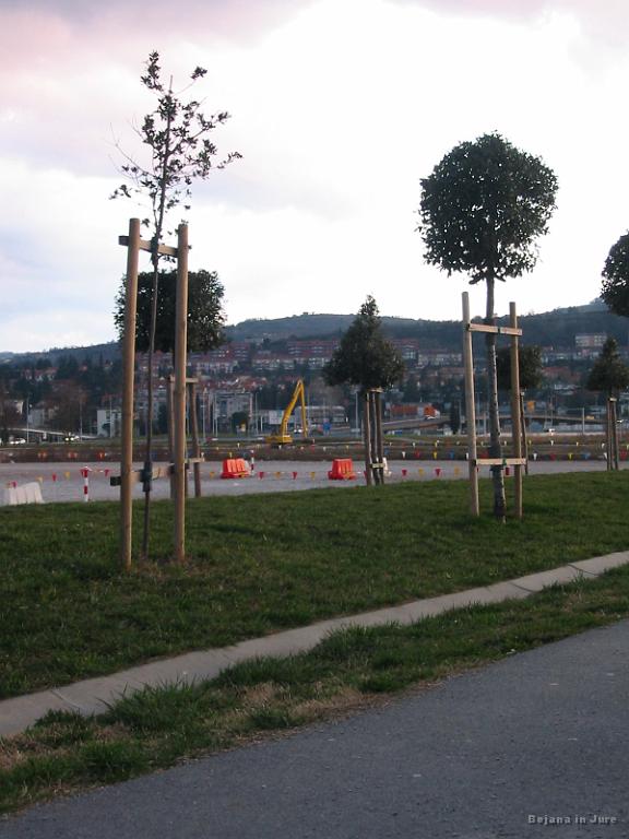Slike_55.jpg - Drevesa ostrižena v kroglo, kocko ali stožec.