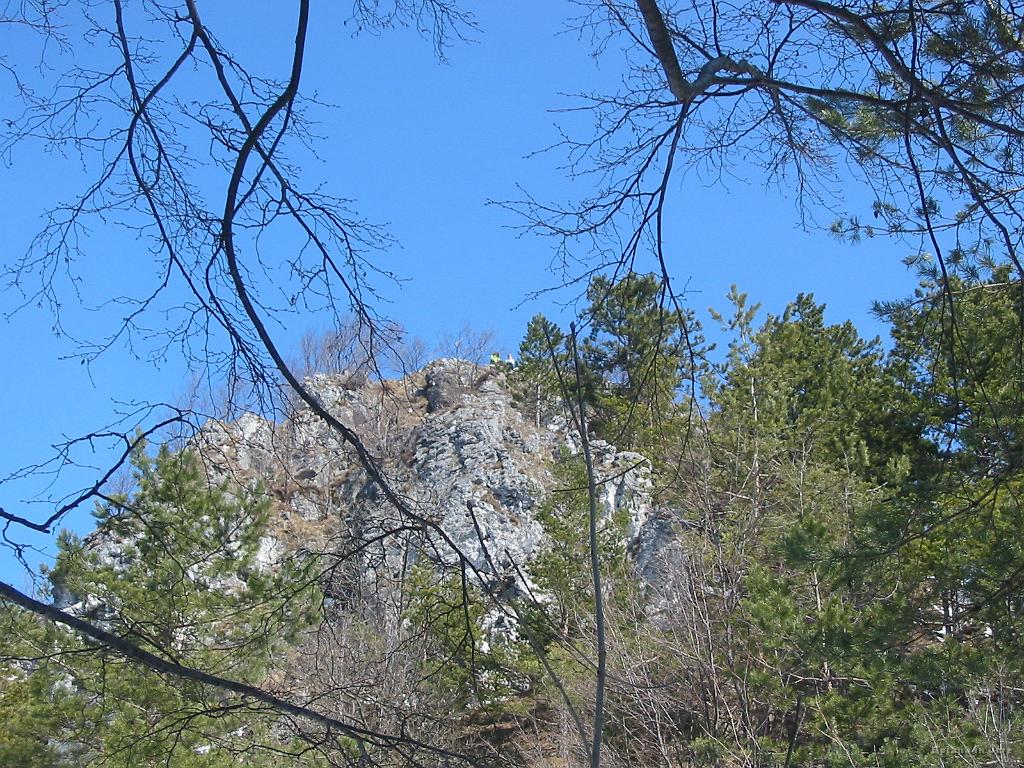 Slike_16.jpg - Pogled proti vrhu Grmade.