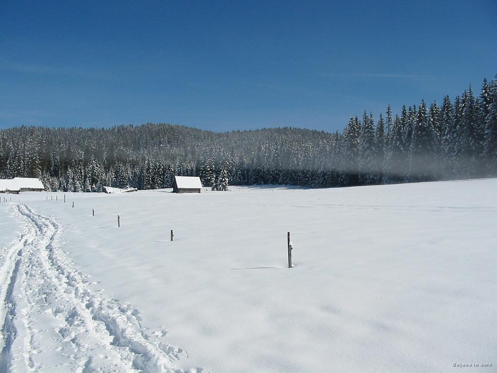 Slike_15.jpg - Meglica nad svežo snežno odejo.