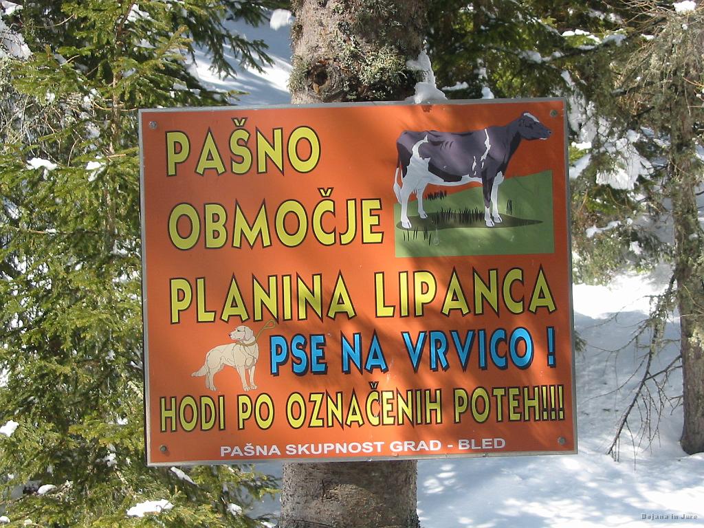 Slike_22.jpg - Uf, spet na vrvico ;)