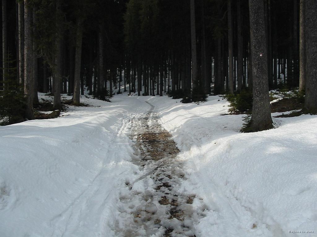 Slike_71.jpg - Dnevno sonce je deloma povsem stopilo pot.