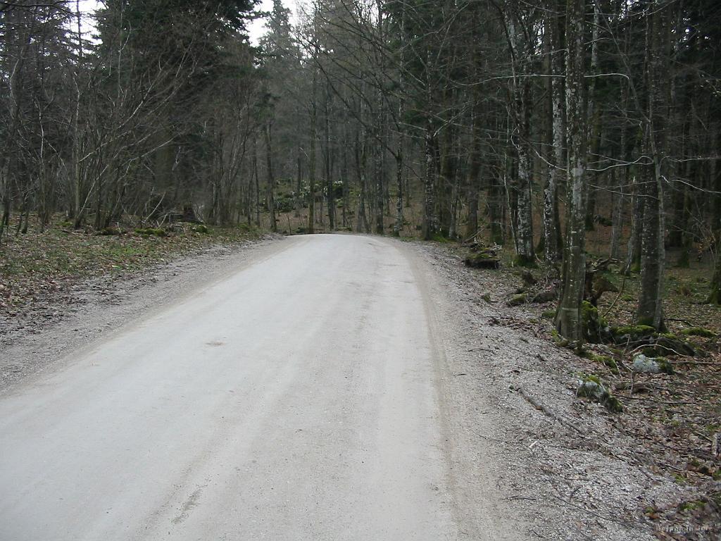 Slike_05.jpg - Makadam je izjemno dobro utrjen, kar je omogočilo ležerno vožnjo.