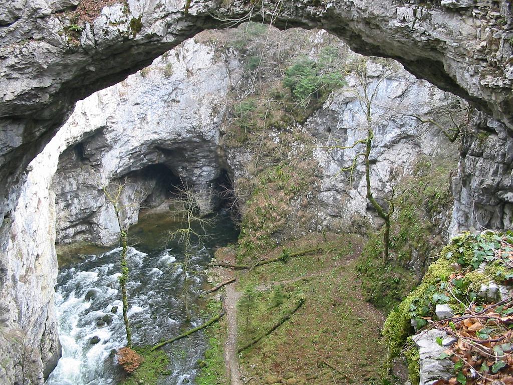Slike_08.jpg - Voda izvira, teče pod mostom in se spet skrije.