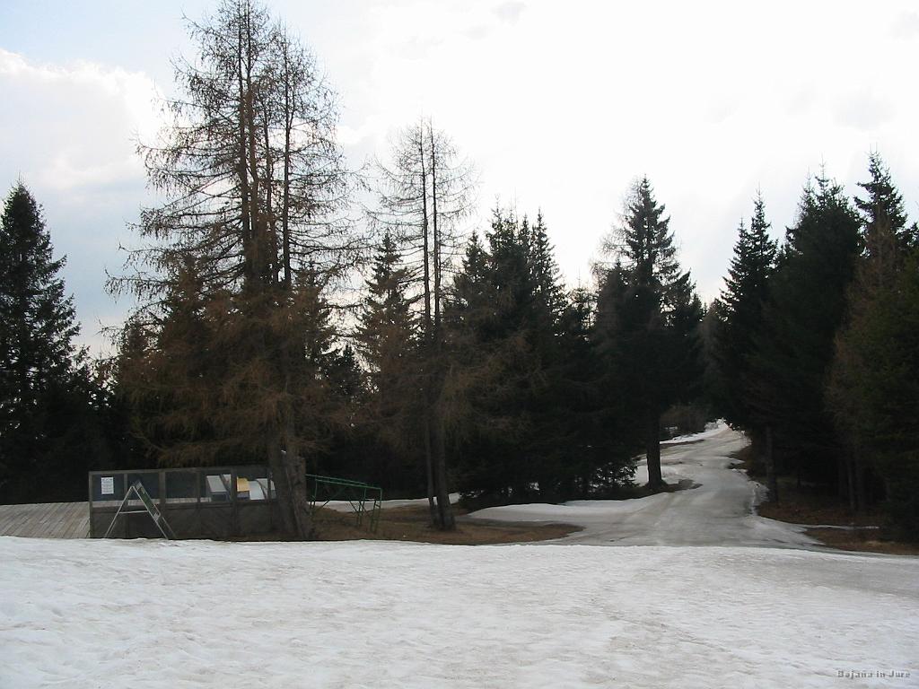Slika_09.jpg - Kjer se sredi sezone delijo čajčki in kuhančki, zdaj obišče le še kaka veverica. In pa midva, seveda.