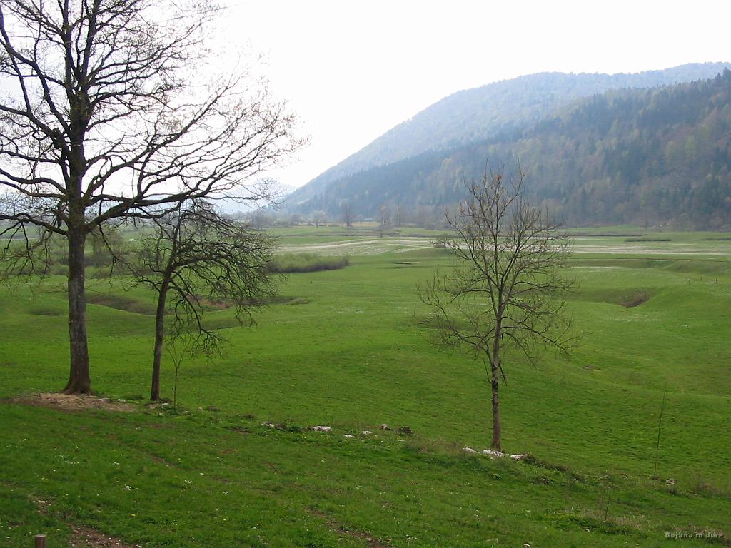 Slika_07.jpg - Planinsko polje.