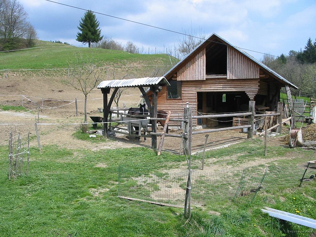 Slika_15.jpg - Ob cesti neke vrste domači ZOO.