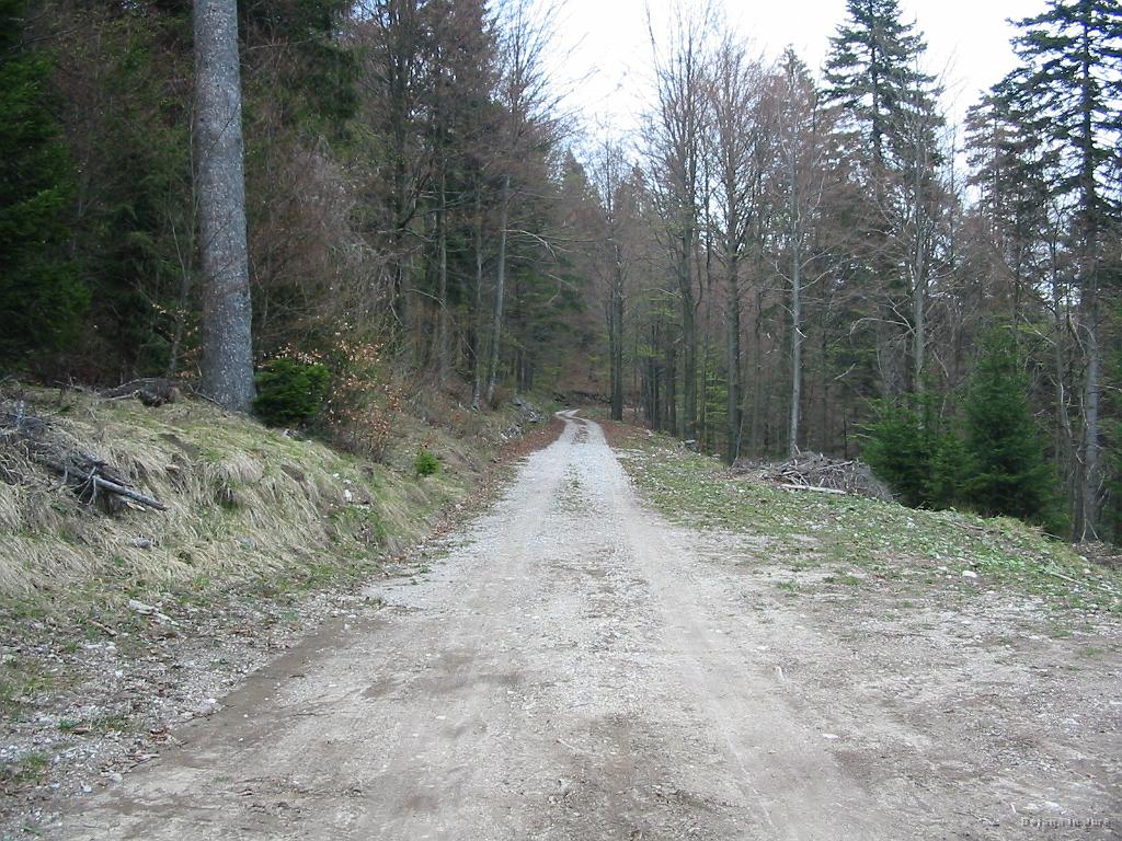 Slika_18.jpg - Pot proti Hrušici, bližje vasi Bukovje.