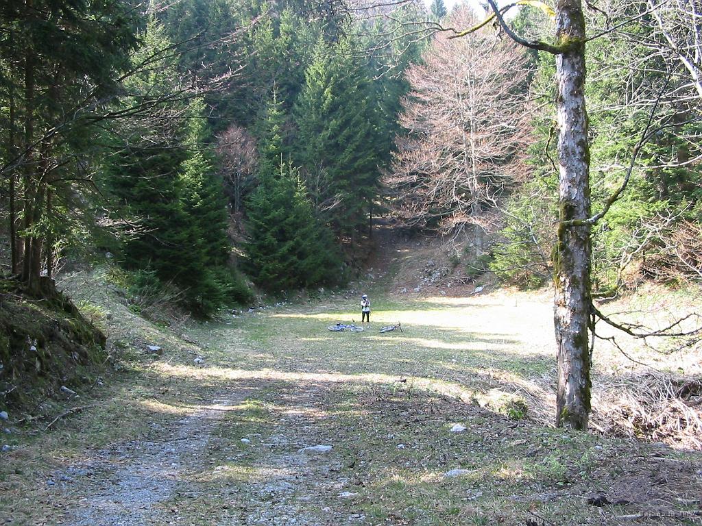 Slika_19.jpg - Jasa, kjer ugotoviva, da sva povsem zašla. Sreča, da sva imela zemljevid in se tako "našla".