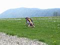 Slika_10