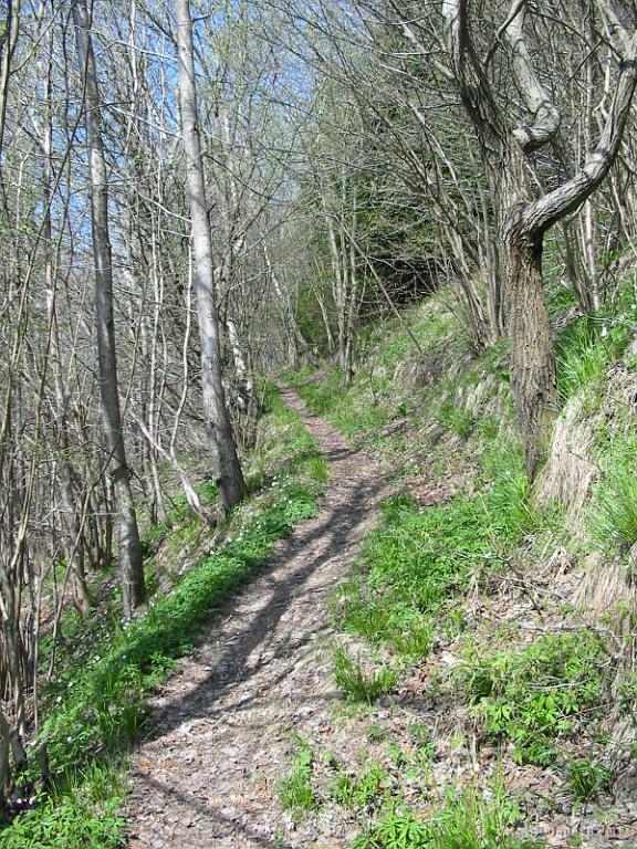 Slika_09.jpg - Izredno lepa in urejena pot. Večji del nezahtevna, le na koncu (začetek ob spustu) je kar klanec. Verjetno ena izmed destinacij za spust s kolesom, čeprav bi tudi navzgor večino poti šlo.