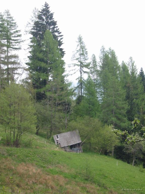 Slika_20.jpg - Propadanje senikov.