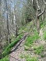 Slika_09