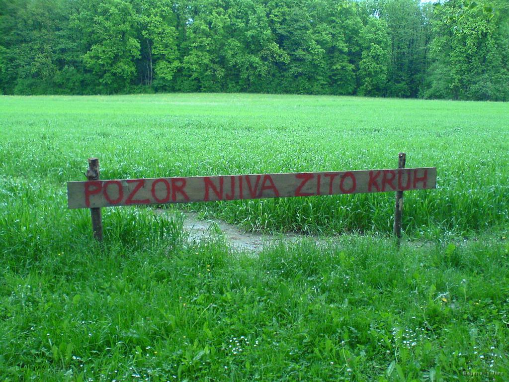 Slika_11.jpg - Očitno nekaterim res ni jasno, da je vrstni red pomemben za naše preživetje. Če zmanjka Pozor, še ni tako hudo, sam brez njive, žita ali kruha bi bila pa težka.