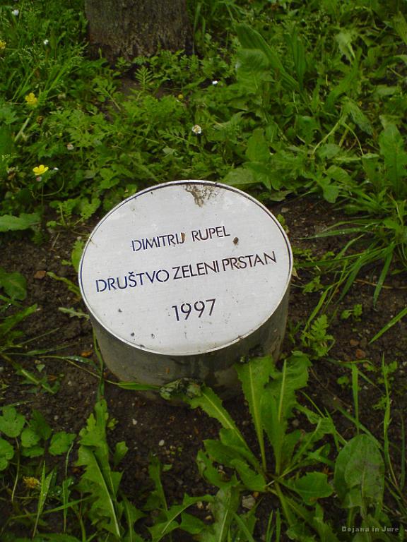 Slika_15.jpg - Žale očitno niso dovolj.