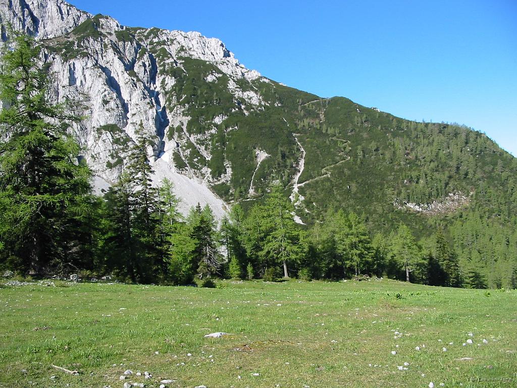 Slika_13.jpg - Pogled na vzhodno pobočje Begunjščice, kjer opazimo cikcakasto pot skozi grmičevje. Verjetno najbolj zoprn del ture.