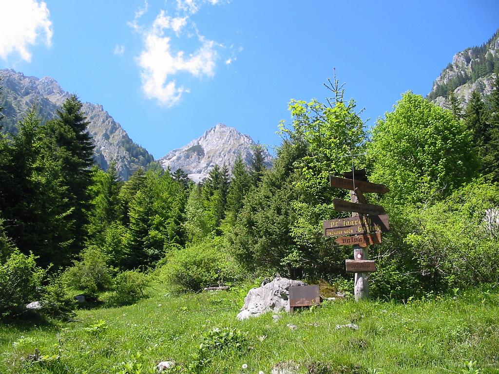 Slika_57.jpg - Smerokazi, ki naju usmerijo kar po gozdni poti v smeri Zelenice. Tu sva na slabih 1100 m.