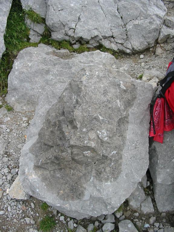 Slika_27.jpg - Zašvicana skala. Da pojasnim...na njej sem sušil svojo švic majco.