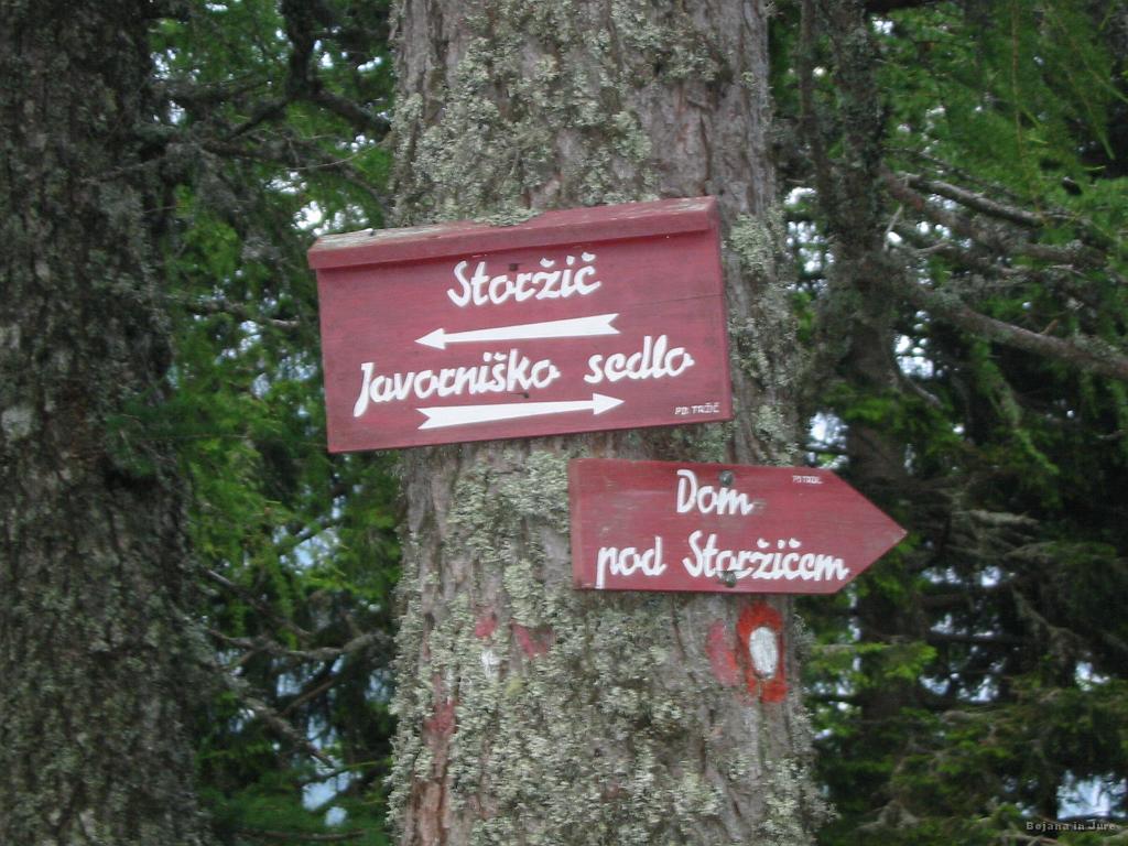 Slika_33.jpg - Veliko nižje se pot odcepi levo v smeri Doma pod Storžičem.