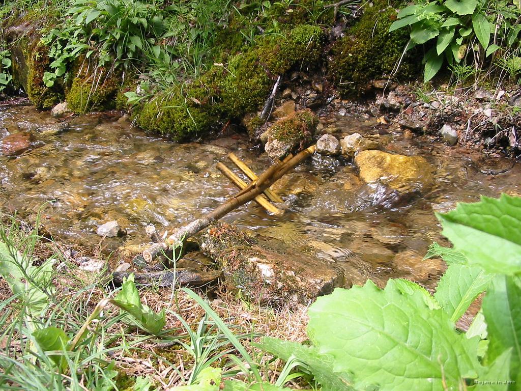 Slika_43.jpg - Ob cesti od Doma pod Storžičem sva se ustavila ter slikala vodni mlinček. Posebej za Anastazijo.