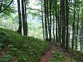 Slika_34
