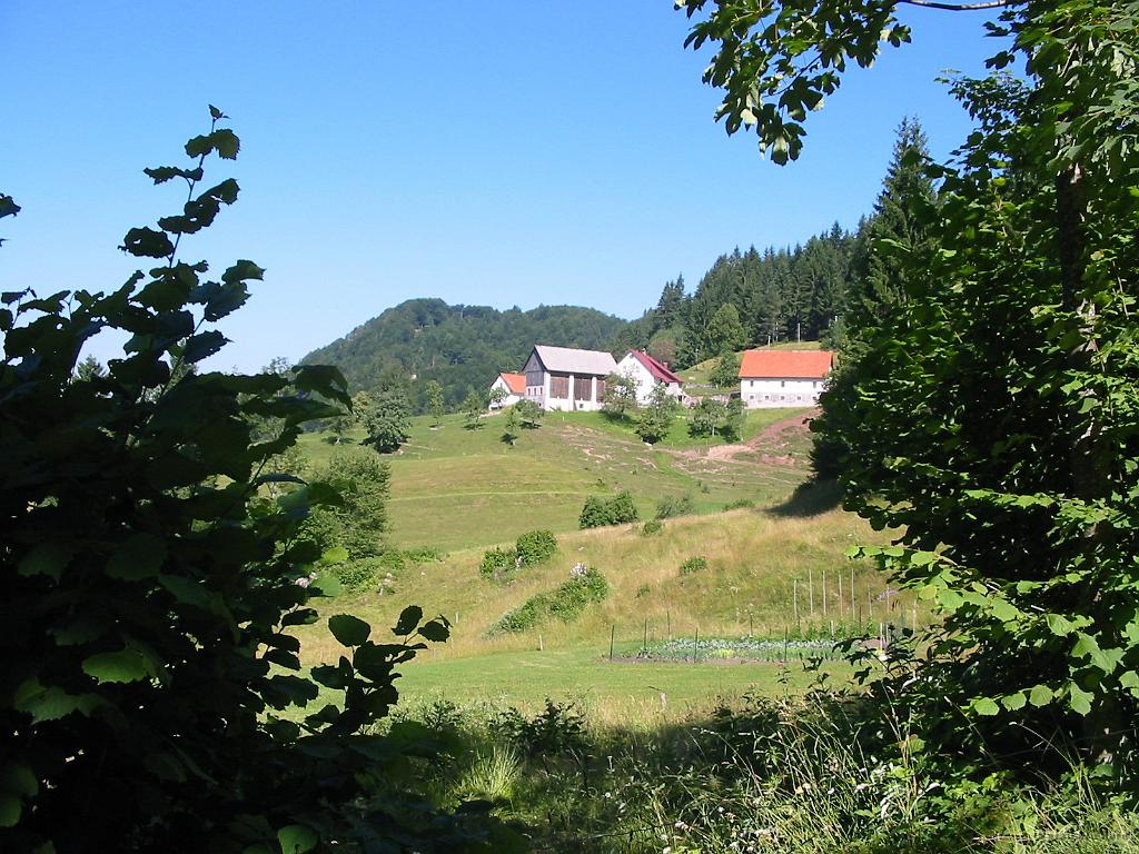 Slika_34.jpg - Počasi se začne svet odpirati.