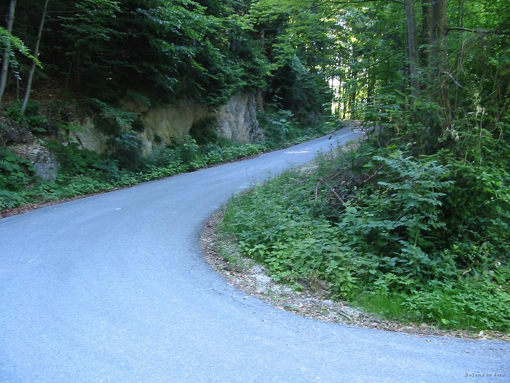 Slika_36.jpg - Prideva na asfalt, vendar klanca še ni in ni konec. Še enih 70 m na gor do glavne ceste Idrija-Vojsko.