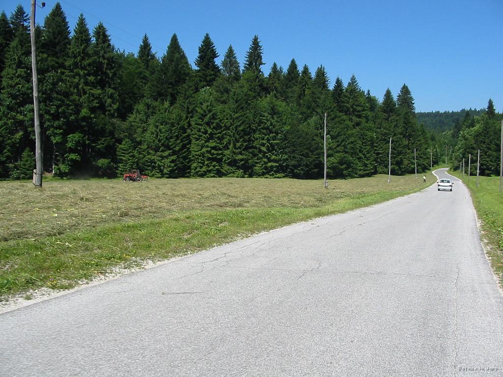 Slika_43.jpg - To travo je potrebno sproti obračati, saj bi se drugače od vročine sama vžgala.