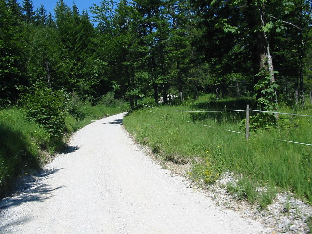 Slika_45.jpg - To pa je že pot oz. makadamska cesta proti Gačniku.