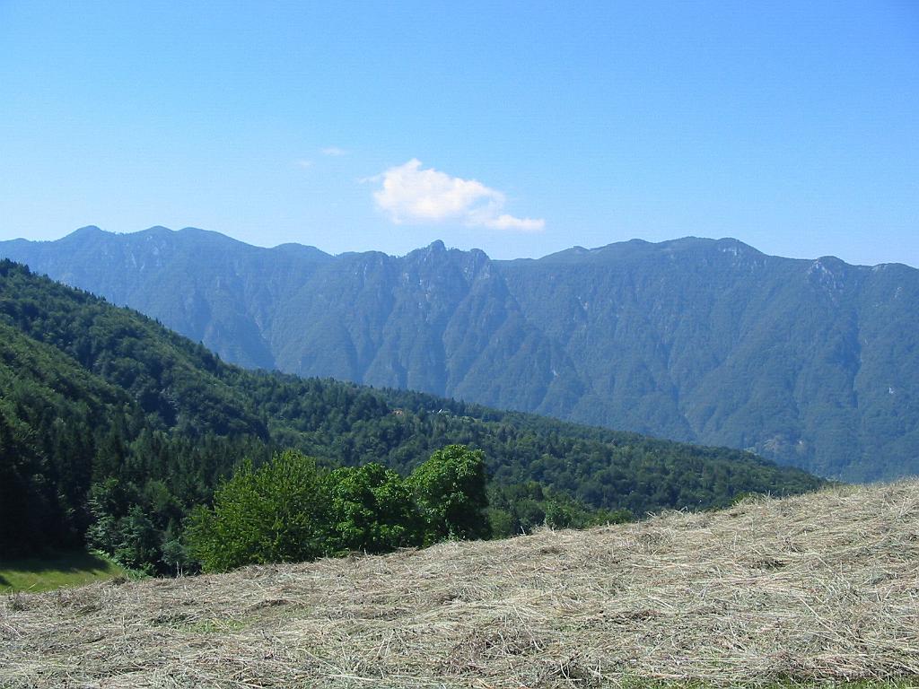 Slika_46.jpg - Težko rečem kateri greben je to. Morda Stador, Travni vrh? Slikano pri kmetiji Brdar, kjer je naju prijezna gospa napotila nazaj, saj sva bila predaleč. Nadaljevanje po tej cesti naju bi pripeljalo v Gorenjo Trebušo.