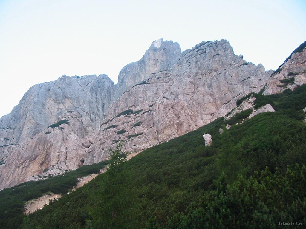 Slika_09.jpg - Hm...verjetno Šitna glava.
