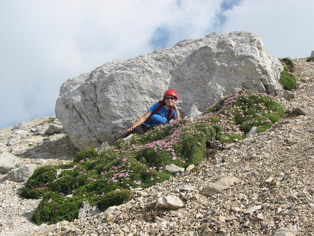 Slika_51.jpg - Oblaki, delček modrega neba, skala, Bojana, rožce in kamenje.