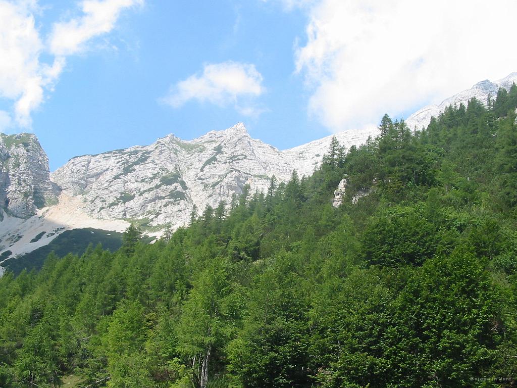 Slika_68.jpg - In še proti melišču ter koritu spusta.