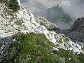 Slika_35
